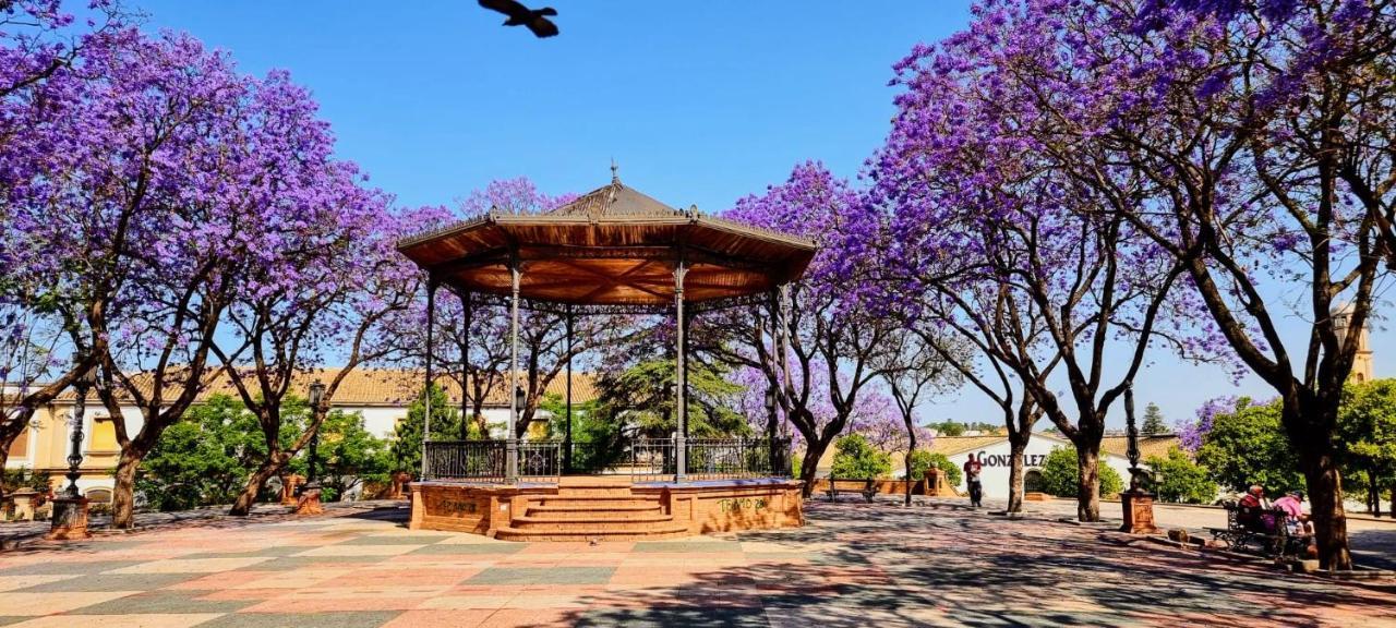 Alazan Jerez Iv-Parking Gratis-Wifi-Netflix Apartment Jerez de la Frontera Ngoại thất bức ảnh